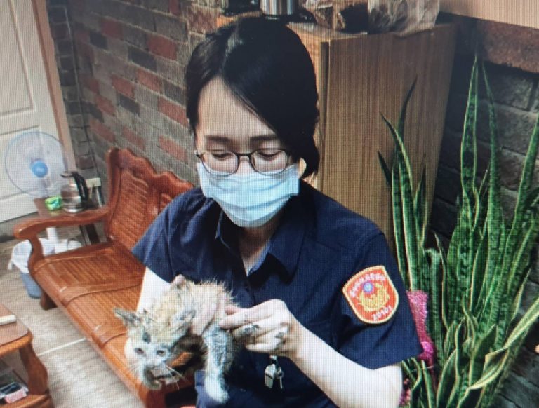 圖片說明：流浪小奶貓鑽巡邏車輪胎內躲雨，暖心員警救出秒收編安置。(記者謝榮浤翻攝)