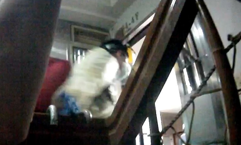 圖片說明：中市有七旬老婦反鎖屋內，中警四分局警消破門而入營救老婦，化解驚魂記。(記者謝榮浤翻攝)