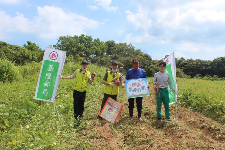 圖片說明：i郵購力挺小農金山地瓜嘗鮮購。（圖：基隆郵局提供）