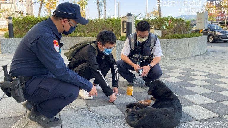 臺中市政府警察局捷運警察隊第一分隊日前主動協助受傷癱倒捷運站的黑色流浪犬。(記者謝榮浤翻攝)