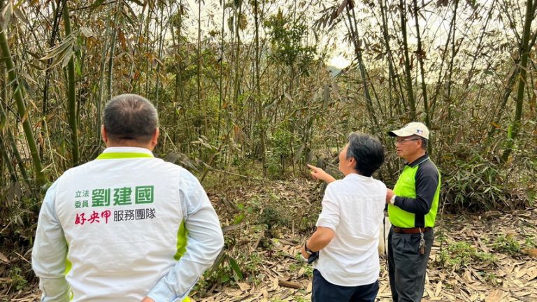 古坑鄉長林慧如親自前往古坑鄉會勘竹筍災損情形。(翻攝自劉建國臉書)