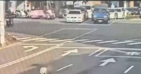 監視器紀錄公車撞擊瞬間。（記者林金聖翻攝）