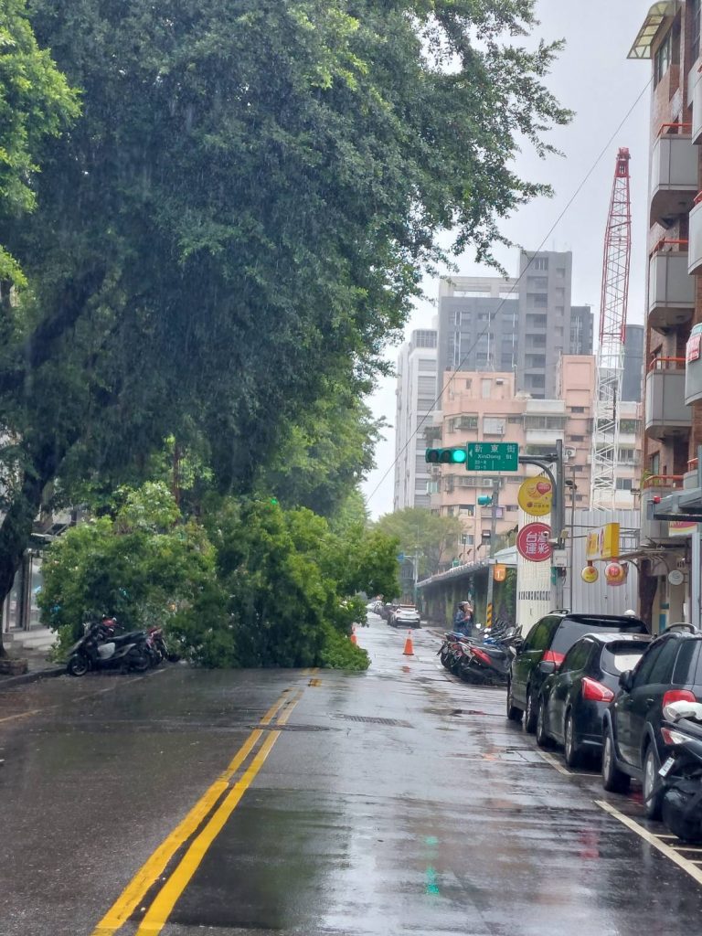 路樹倒塌占據車道。（記者林金聖翻攝）