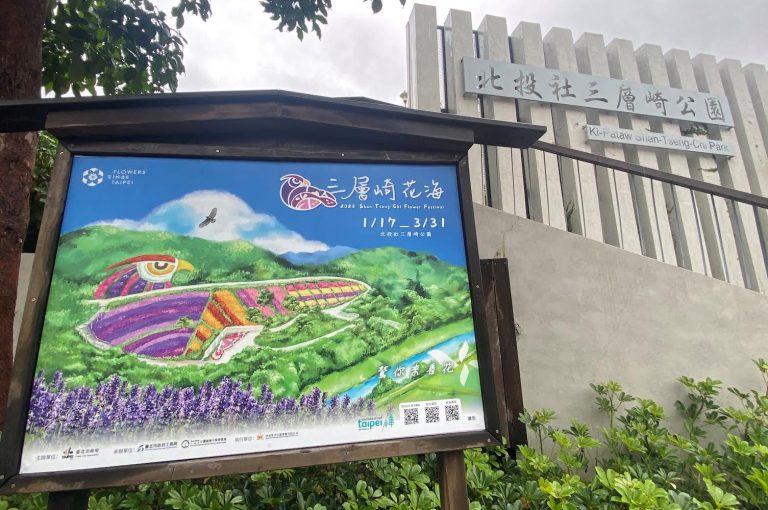北投社三層崎公園打造一片奇幻花毯,美不勝收,成為網紅打卡熱點。(記者薛秀蓮翻攝)