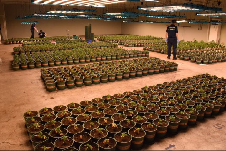 製毒集團打造千萬無塵室專業種植大麻。(記者徐煜勝翻攝)