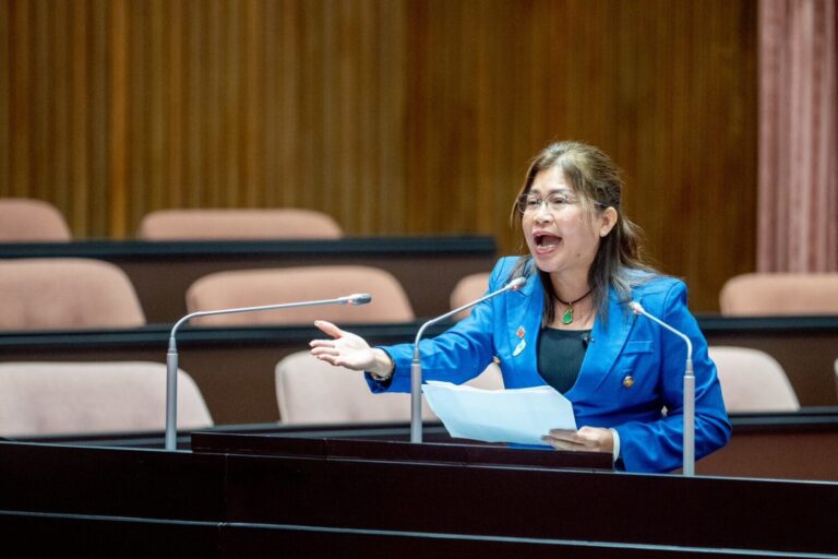 麥玉珍質詢時痛批行政院「裝傻、怠惰、欺負新住民」，更直言「這樣的行政怠惰，已是制度化的歧視！」。(圖／麥玉珍國會辦公室)